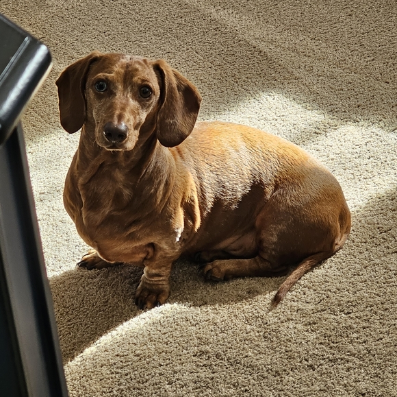 My Sun & Shade Shop - Picture 11 of 16